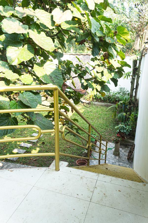 Green House Tarapoto Eksteriør billede