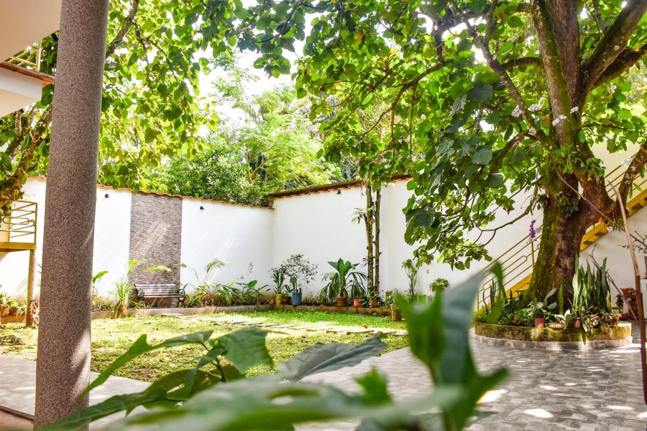 Green House Tarapoto Eksteriør billede