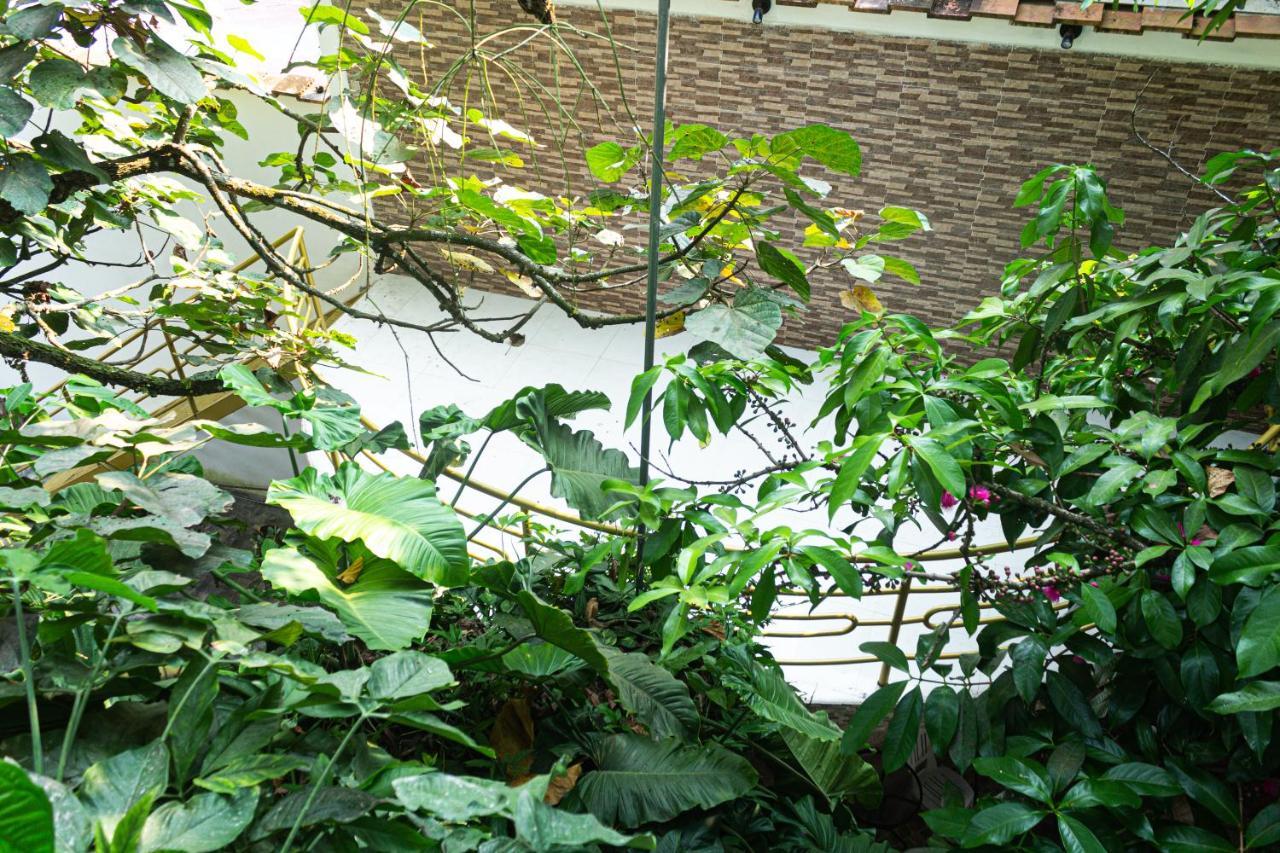 Green House Tarapoto Eksteriør billede