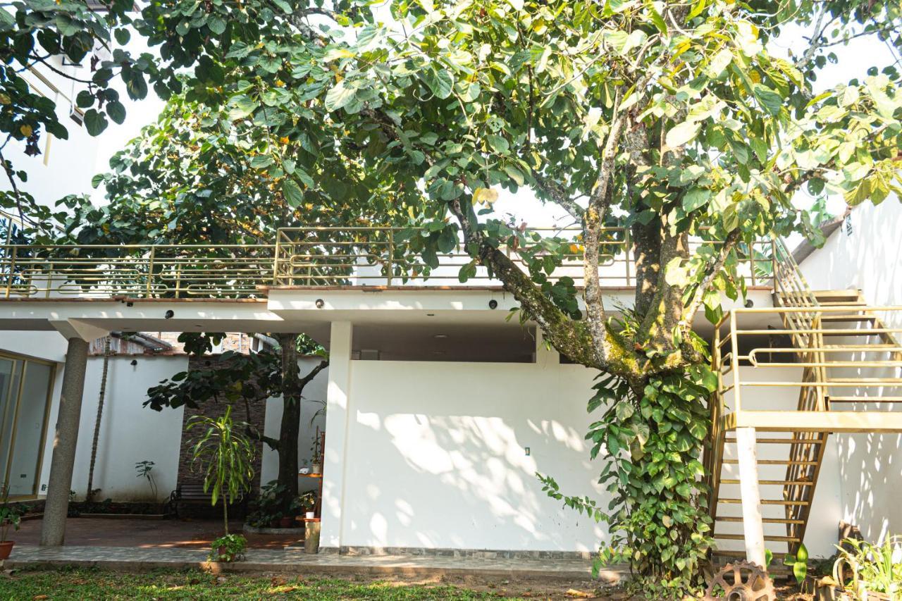 Green House Tarapoto Eksteriør billede